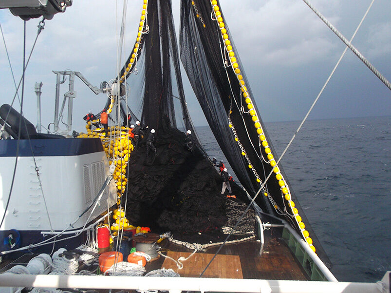 Marco FD Industrial {{brizy_dc_image_alt imageSrc=