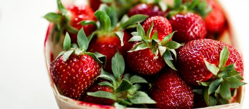 Industria Alimentaria Sostenible {{brizy_dc_image_alt imageSrc=